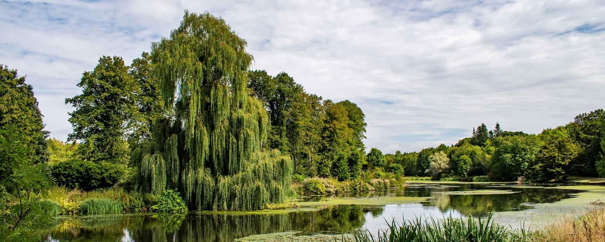 About Us - E.H. Crouch Funeral Directors in Hertfordshire